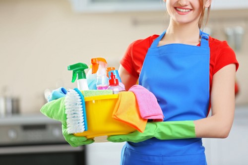 Professional window cleaning service in Sydney