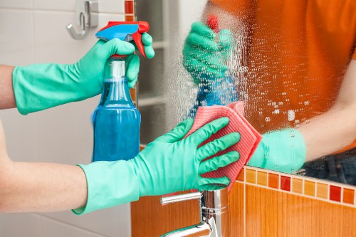 Professional carpet cleaning in a modern Sydney home