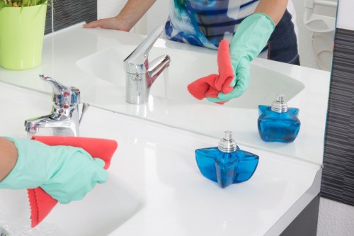 Detailed carpet cleaning process