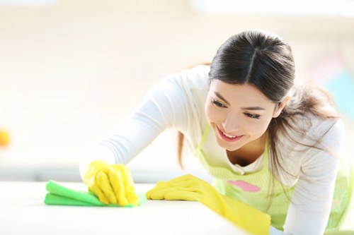 Eco-friendly carpet cleaning solutions being applied