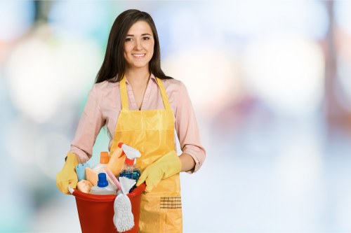 Comprehensive carpet cleaning process by Sydney experts