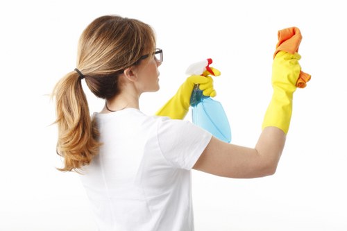 Carpet Cleaners Sydney staff performing house clearance