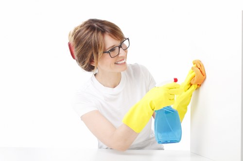 End of tenancy inspection and carpet cleaning