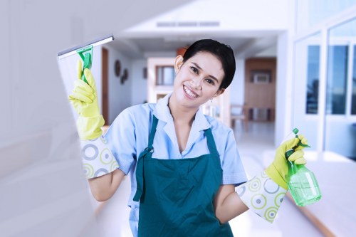 Eco-friendly cleaning solutions for furniture